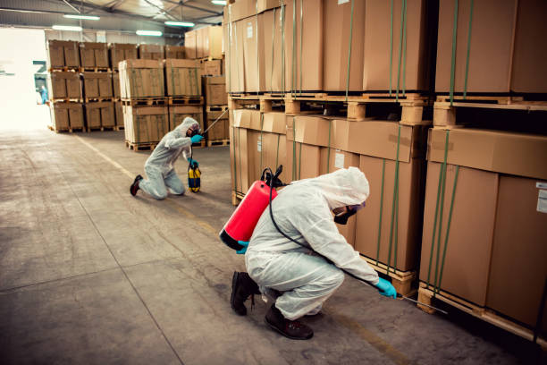 Best Wildlife Control Services  in Mountain View, HI