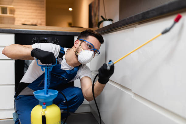 Best Wasp Removal Services  in Mountain View, HI