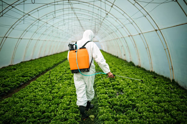 Best Pest Inspection Near Me  in Mountain View, HI