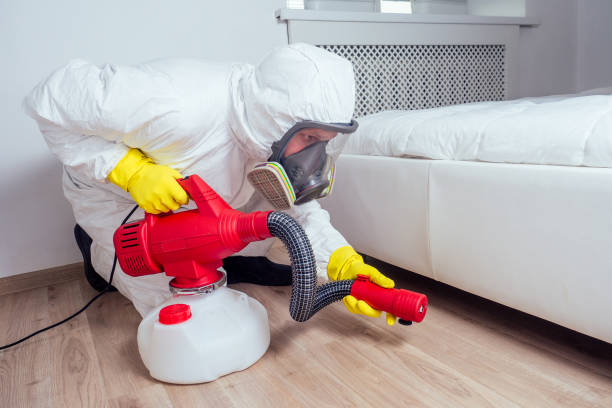 Pest Control for Restaurants in Mountain View, HI