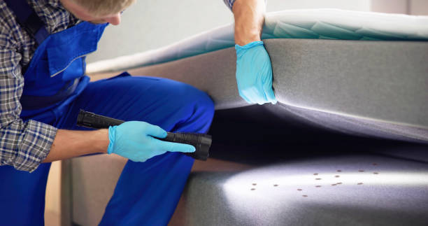 Best Pest Removal Services  in Mountain View, HI