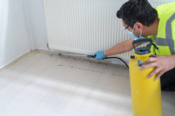 Best Pest Control for Restaurants  in Mountain View, HI